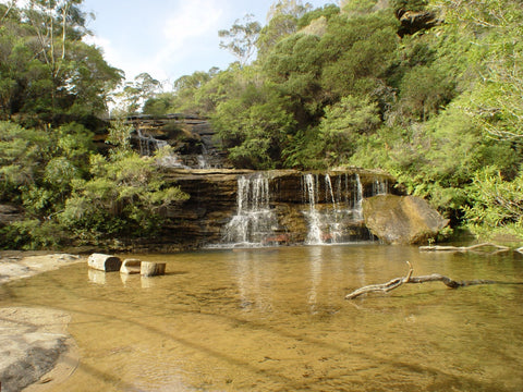 wentworth falls, blue mountains national park, nsw, things to do, hike