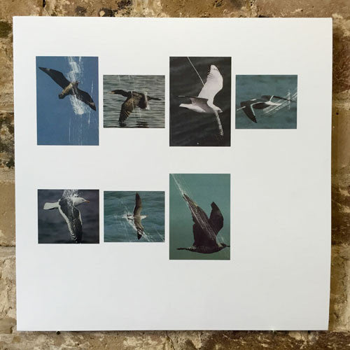 Various - Dawn Chorus EP (Trouble Remixes Volume II) Various - Dawn Chorus EP (Trouble Remixes Volume II)