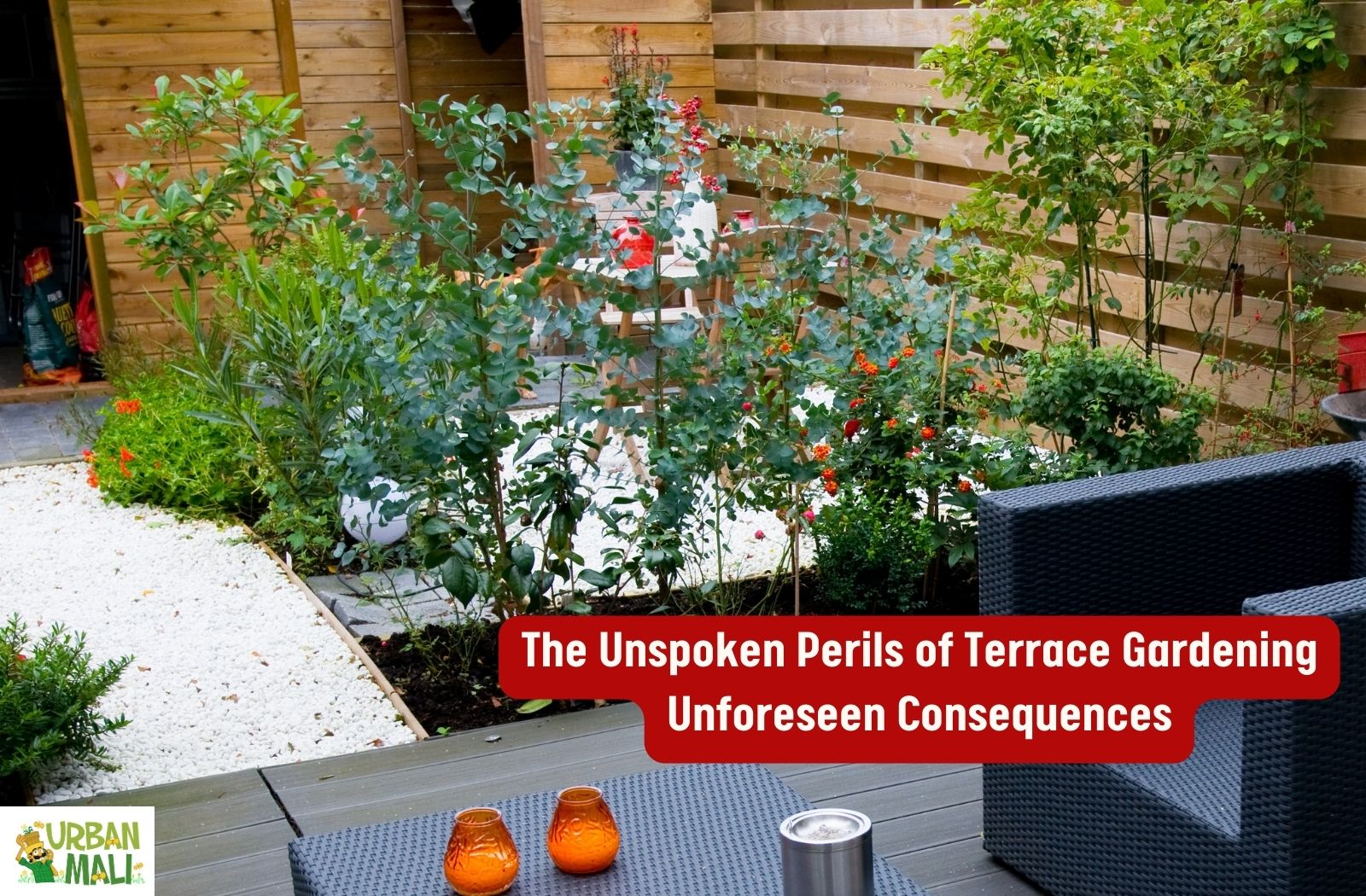 The Unspoken Perils of Terrace Gardening: Unforeseen Consequences ...
