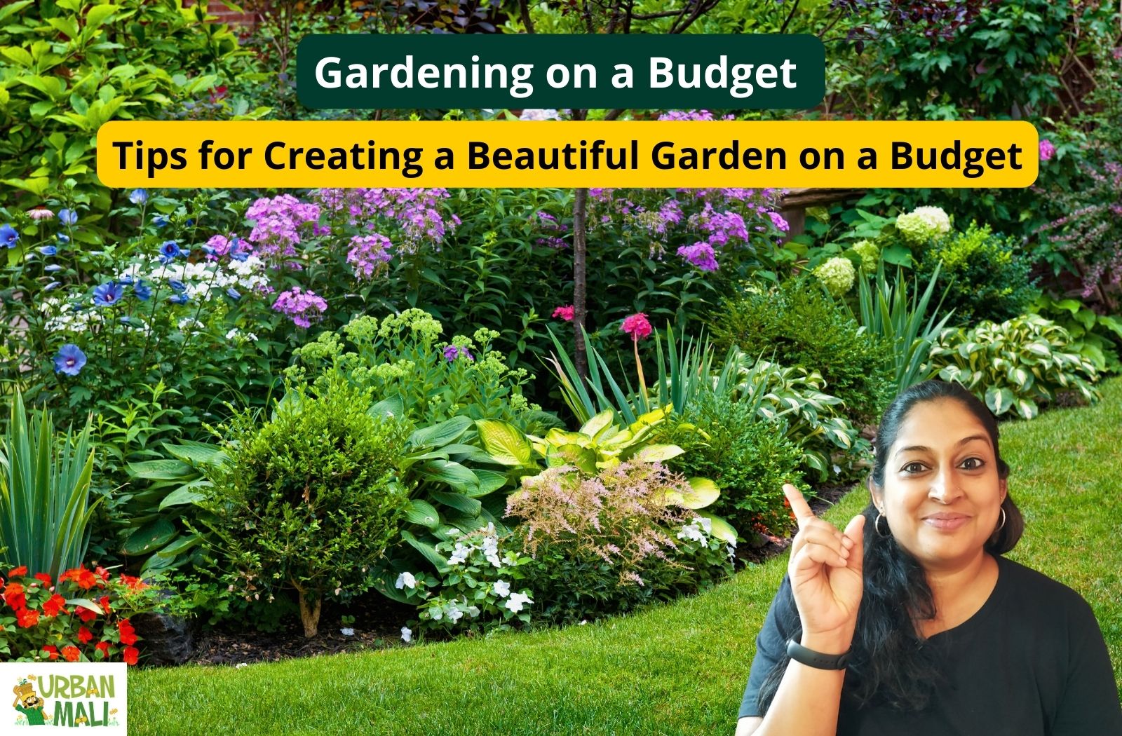 Gardening on a Budget: Tips for Creating a Beautiful Garden on a ...