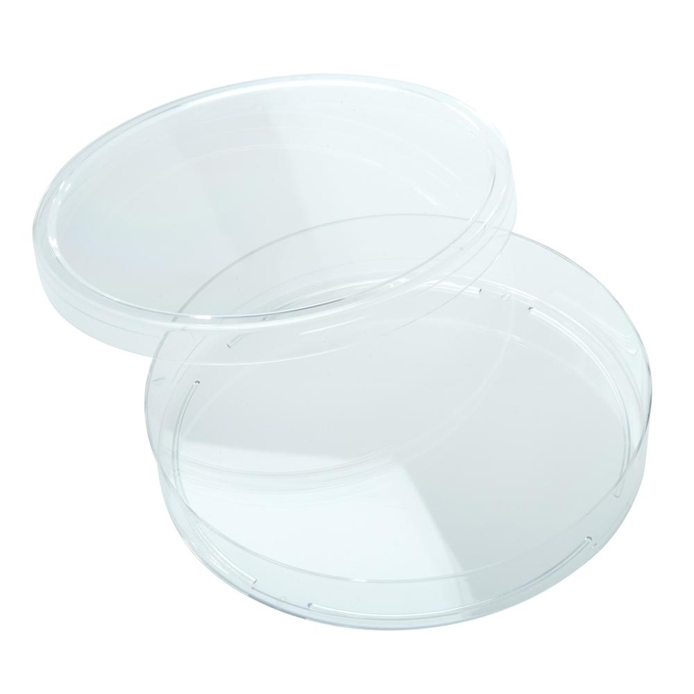 Clear Pack of 10 65mm Outside Diameter United Scientific G1060 Borosilicate Glass Petri Dish 