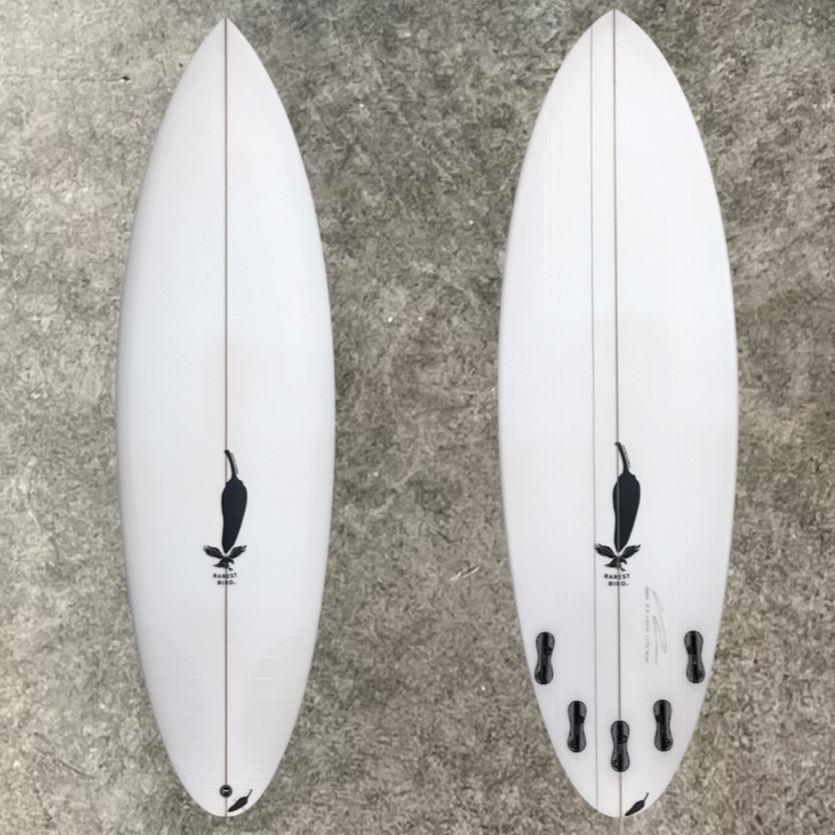 rare bird surfboard