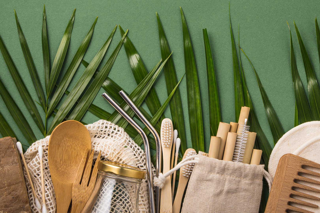 Understanding Sustainable Living