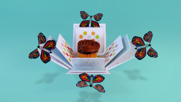 exploding cake box with butterflies