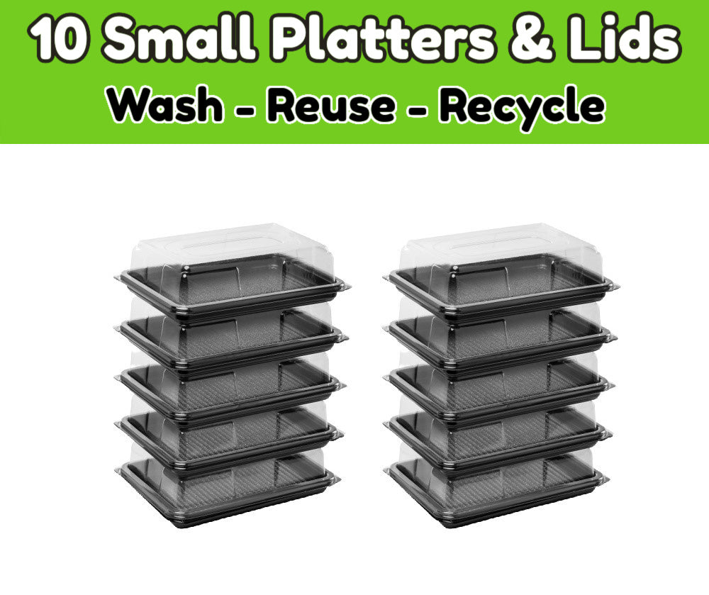 10 Mini Food Platters + Lids - Great For Single Sandwich Portions