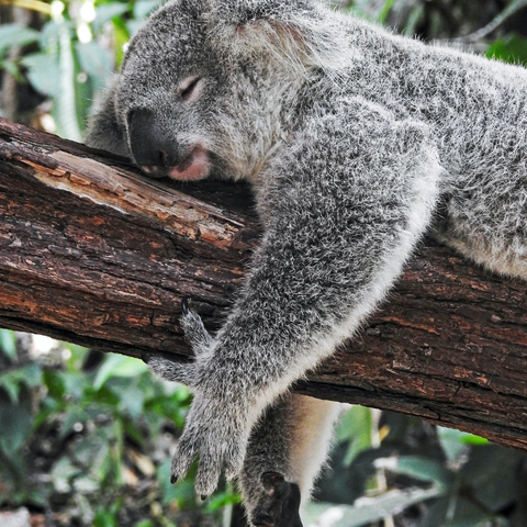How to Sleep Better at Night