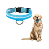 Collar Para Mascotas Con Luz Led Ajustable y Recargable Paseo Nocturno