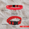 Collar Para Mascotas Con Luz Led Ajustable y Recargable Paseo Nocturno