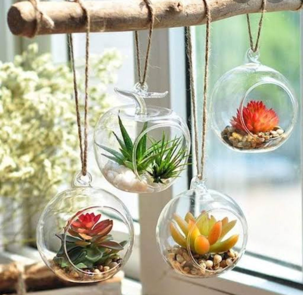 glass globes