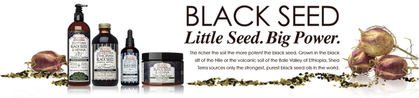 Shea Terra Egyptian Black Seed & Propolis Lotion (473ml)