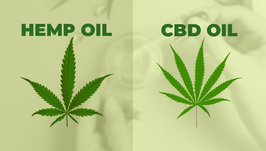 What is the Difference Between Hemp Oil vs. CBD Oil?
