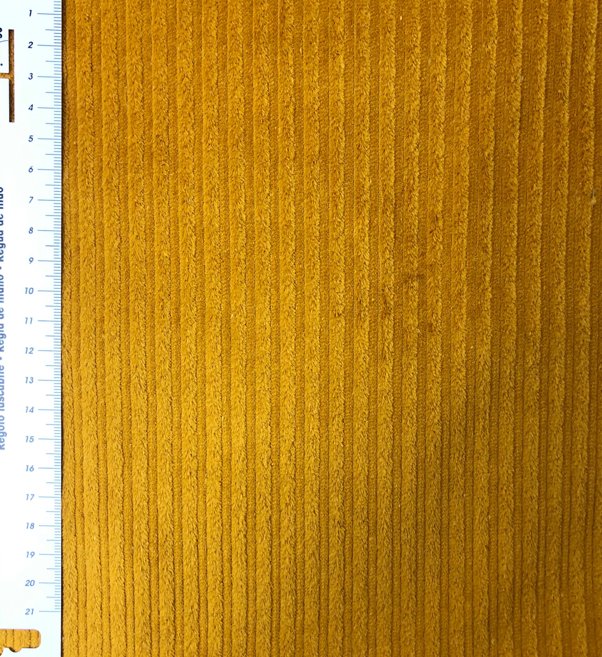 fullsizeoutput_10a5.jpeg