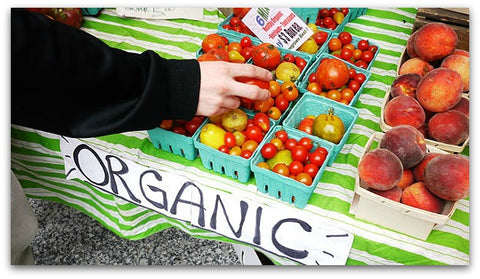 Organic tomatoes 