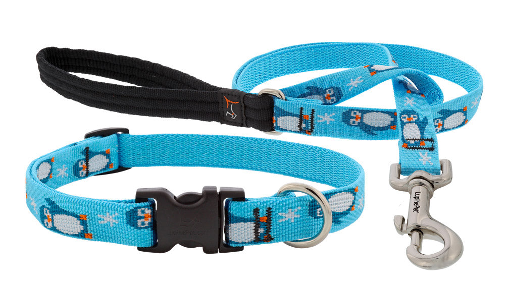 holiday dog collars and leashes