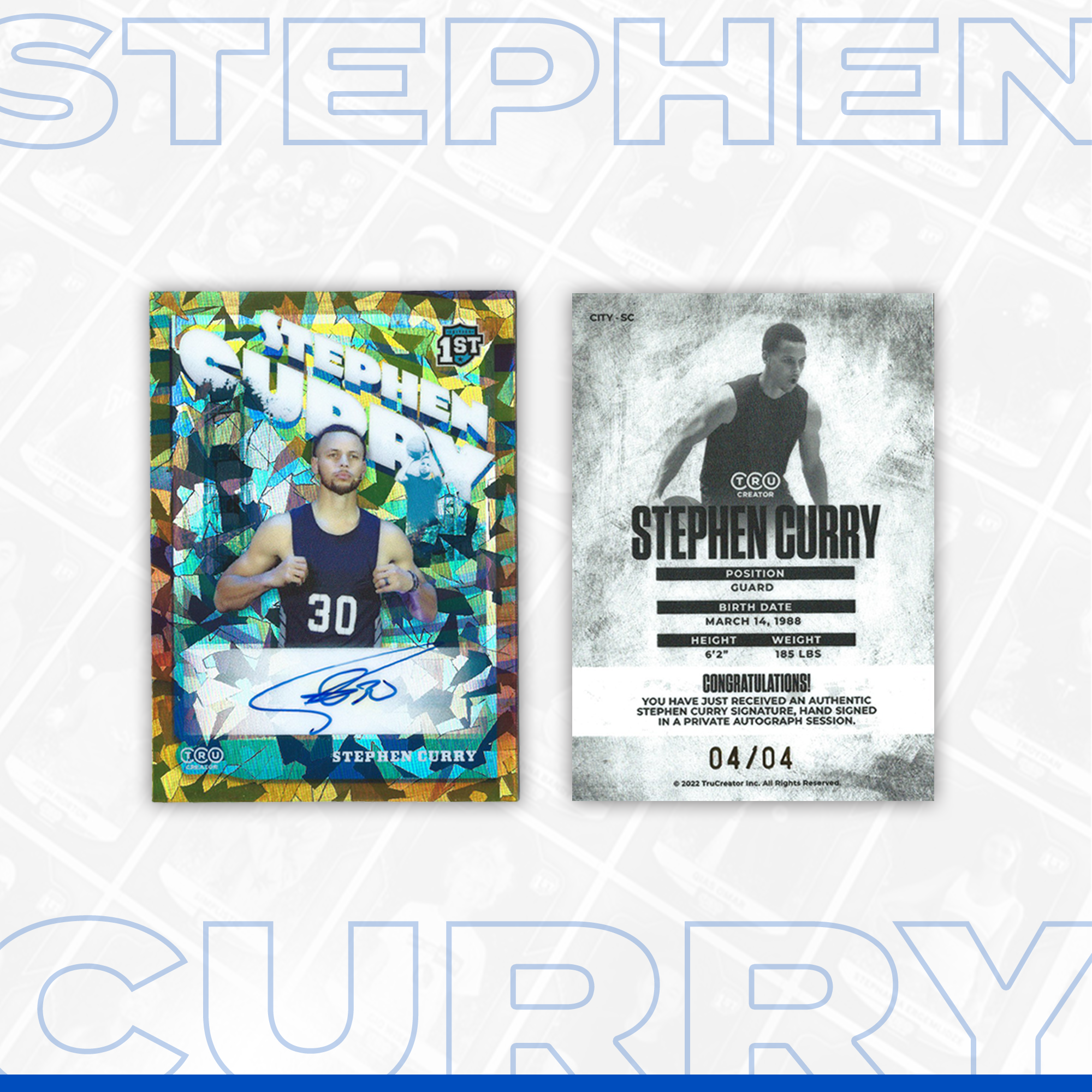 ステフィンカリー /132 stephen curry auto 新作人気モデル - gioc.org