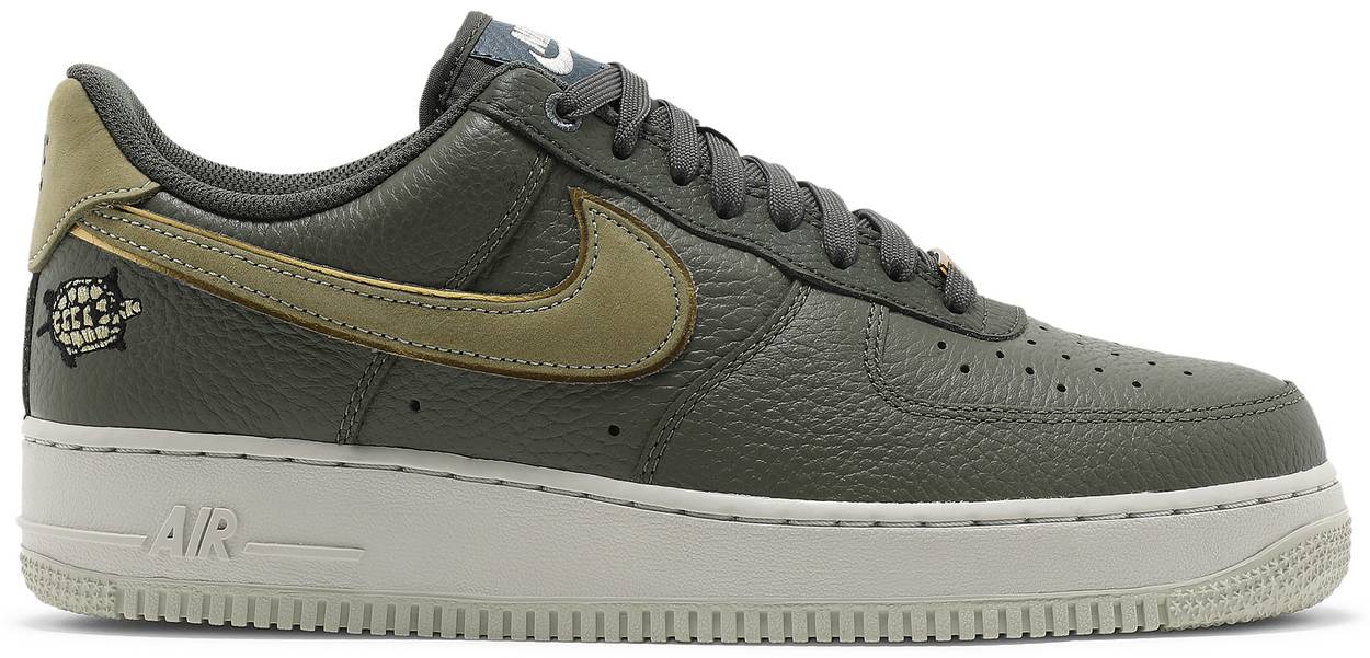 nike air force one turtle