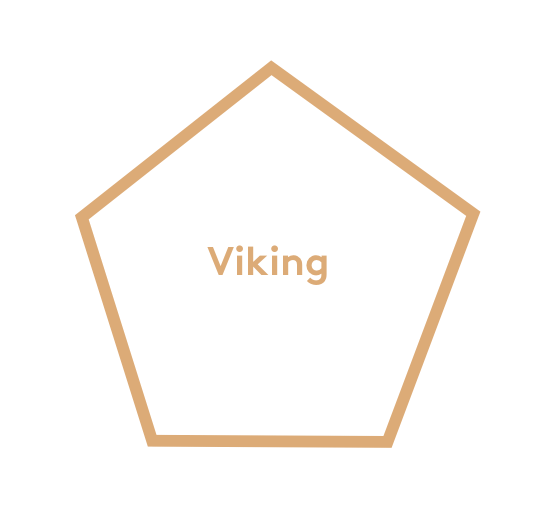 Viking flavour definer pentagon