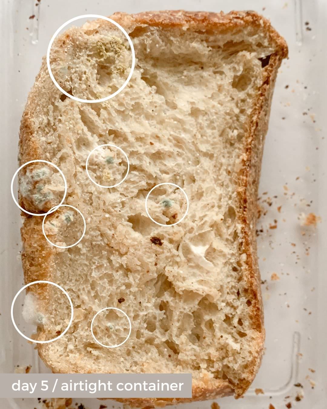 pure linen bread bag vs airtight container day 5