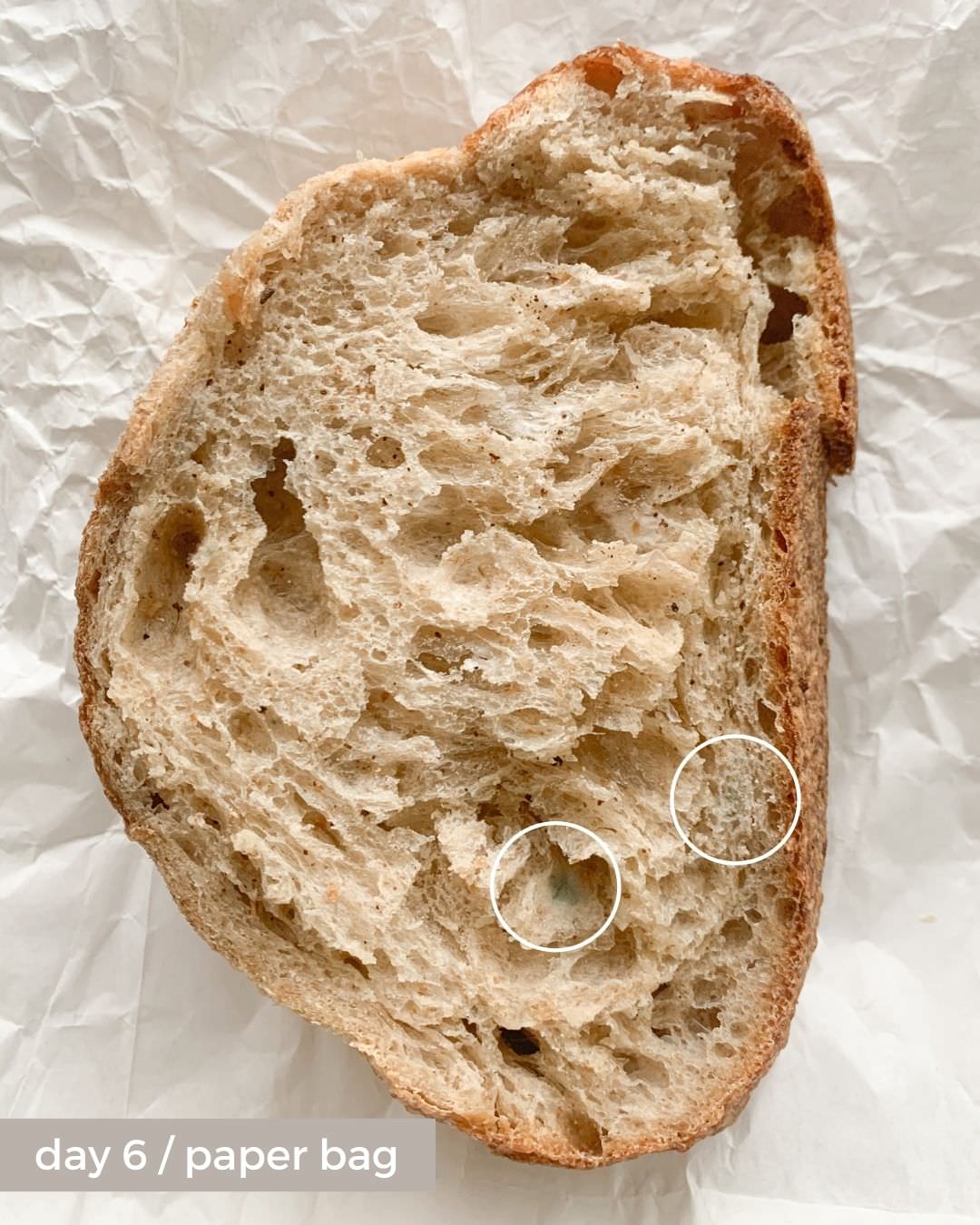 pure linen bread bag vs paper bag day 6