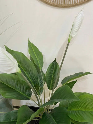 Faux Peace Lily