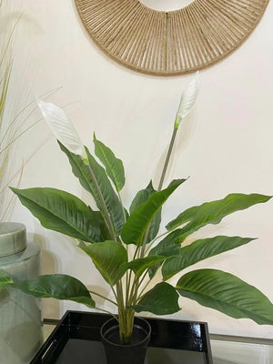 Faux Peace Lily