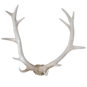 Wall hanging Antler