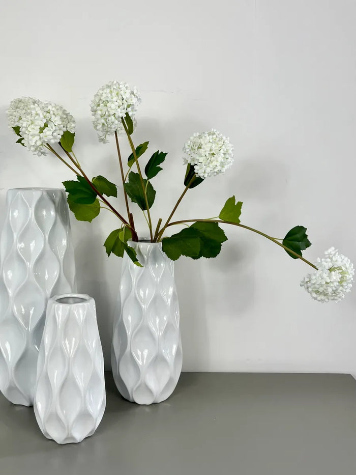 White Viburnum Opulus