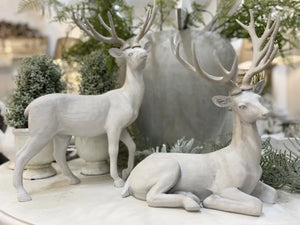 White Washed Deer - 2 Styles