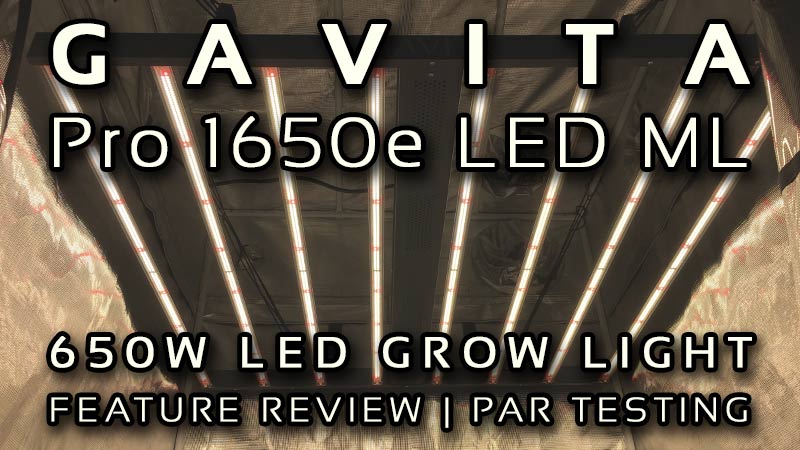 led par review