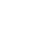 Vegan