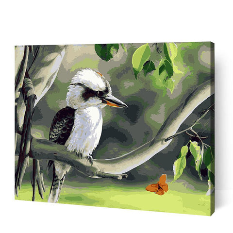 Kookaburra - Paint Art Australia