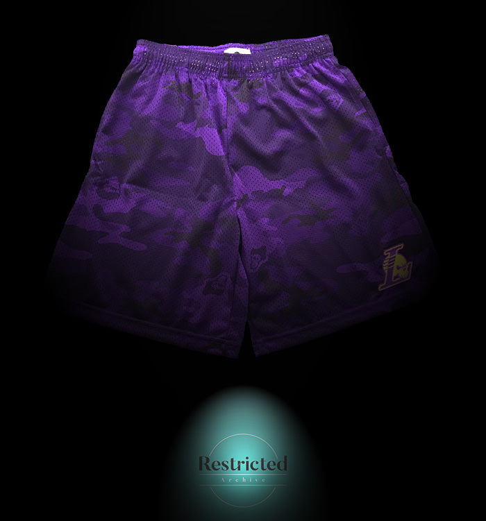 ☆日本の職人技☆ Warren Lotas LA Lakers Camo Mesh Shorts tbg.qa