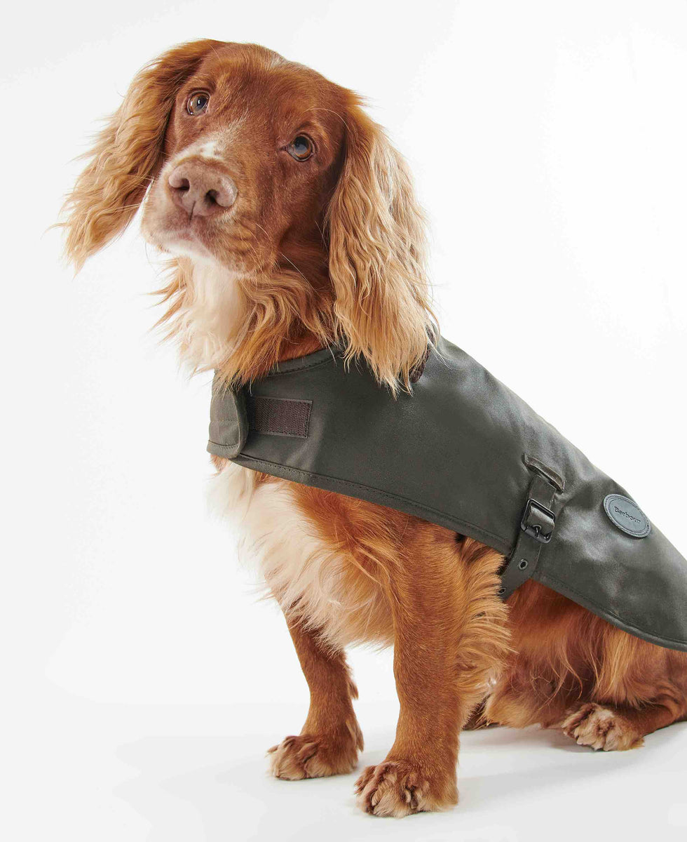 xs barbour dog coat