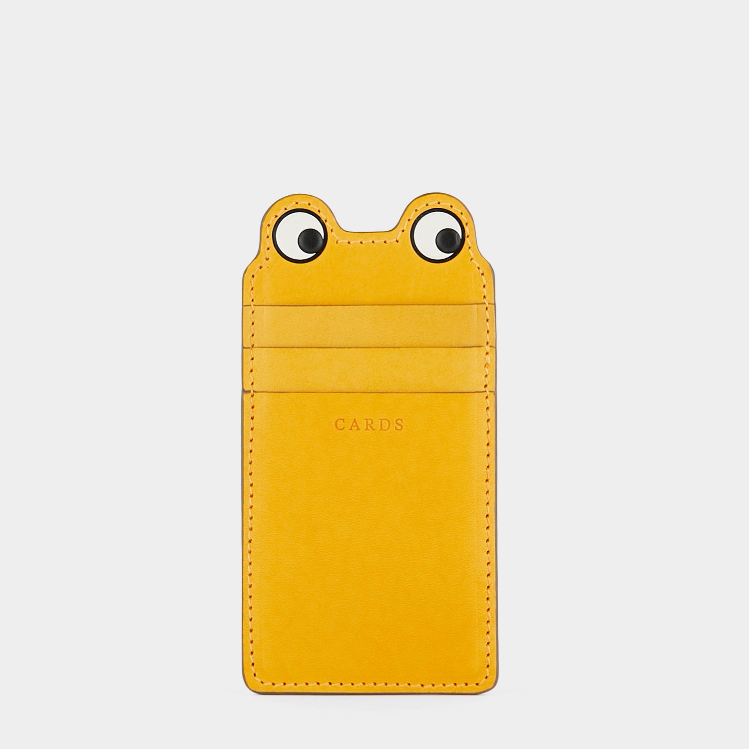 Return to Nature Frog Card Case