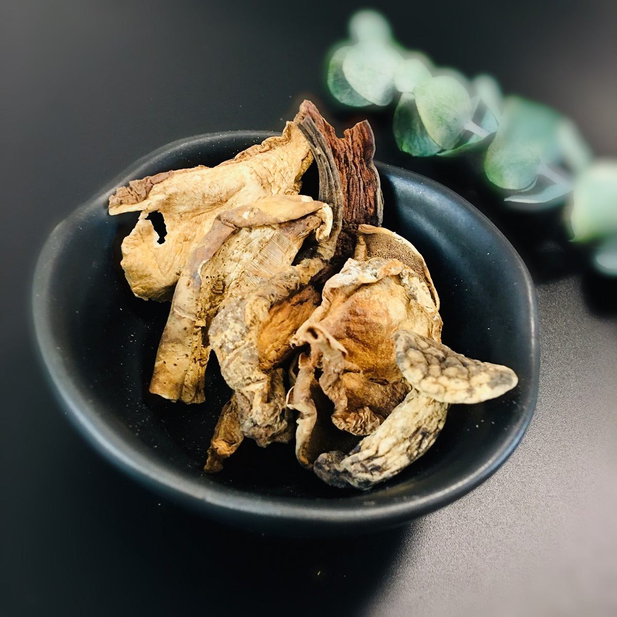 干牛肝菌蘑菇 库存照片. 图片 包括有 真菌, 干燥, 可食, 成份, 蘑菇, 特写镜头, 食物, 原始 - 61475760