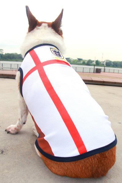 us soccer dog jersey