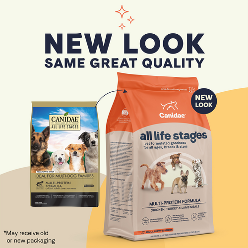 canidae dog food fish