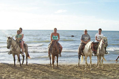 Horses 1 hour in Punta Cana - nexus tours - Ekeau