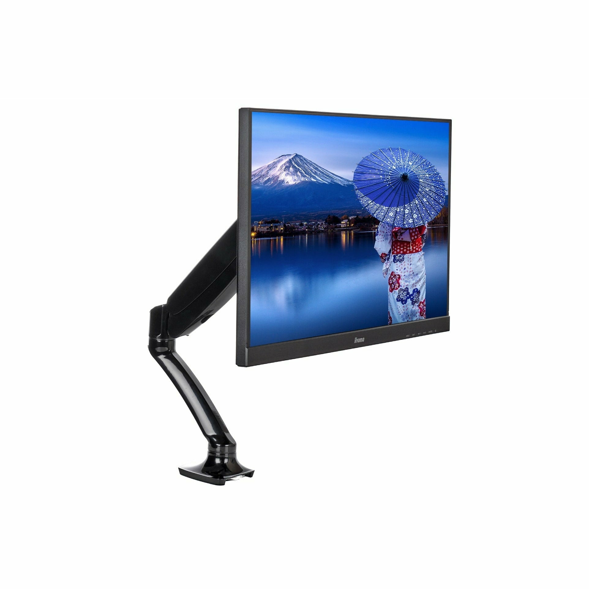 iiyama monitor mount