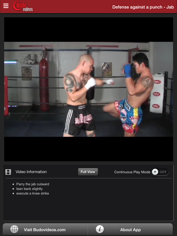 The Muay Thai Clinch - ipad chapter action image