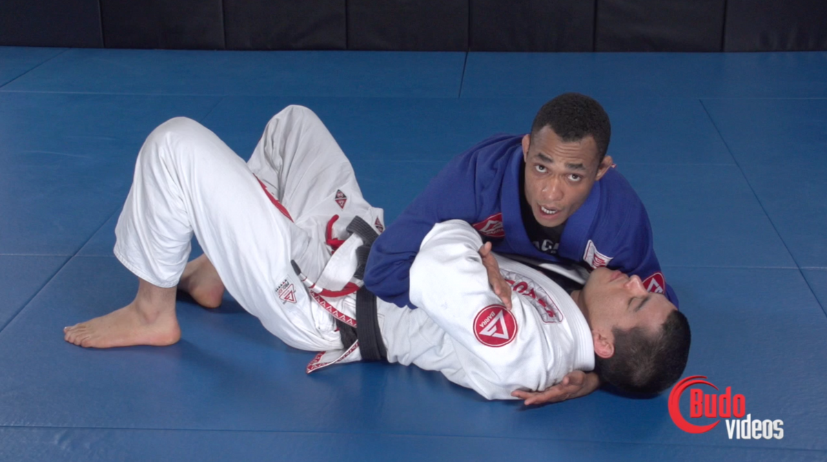 THE BARATOPLATA 柔術 DVD BJJ | jarwan.com