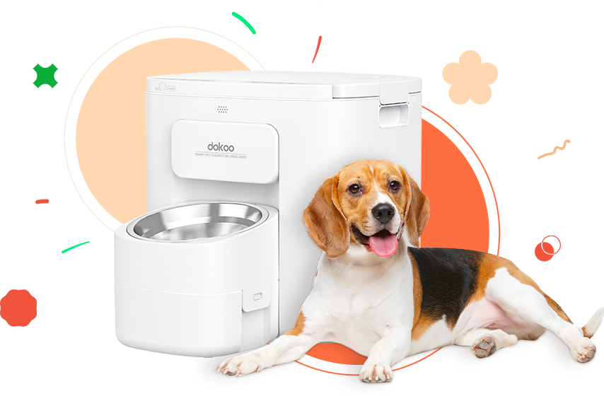dokoo large pet feeder for monther's day gift