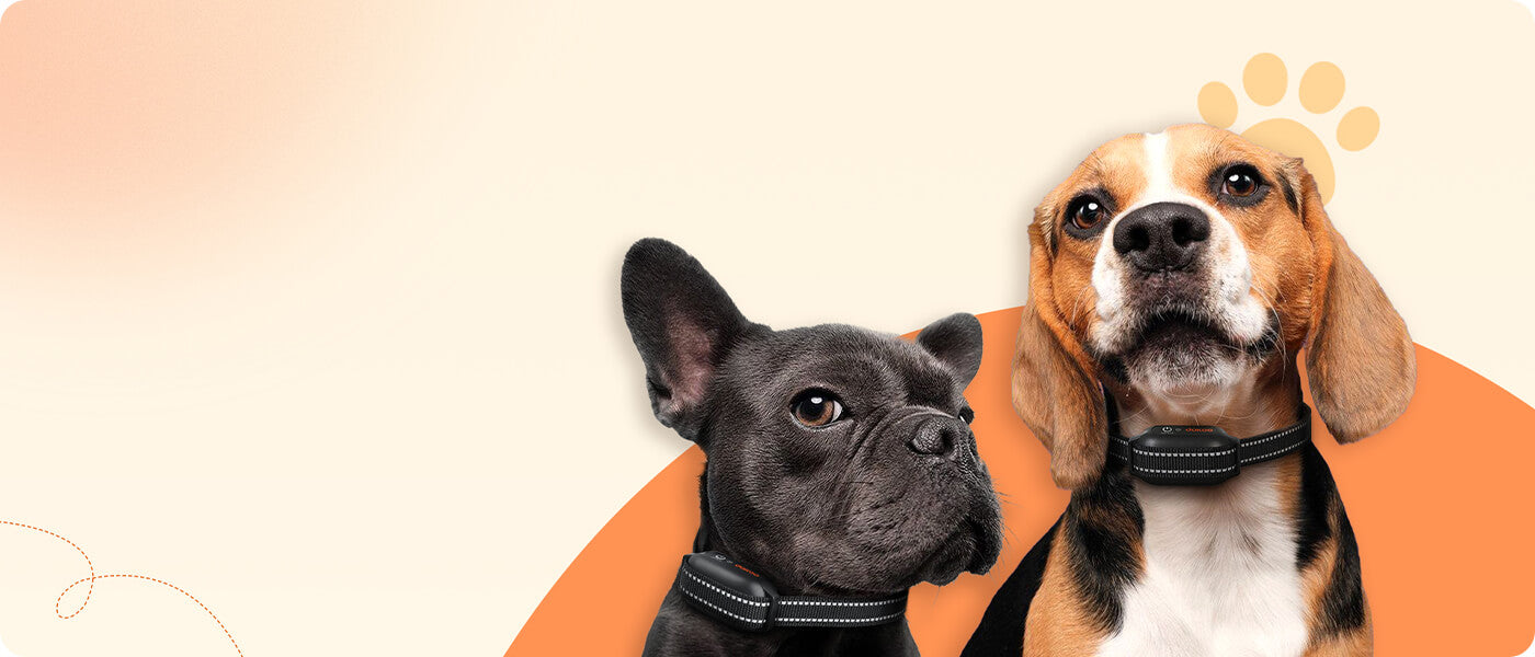 dokoo Dog Shock Training Collar, Safe and Humane 