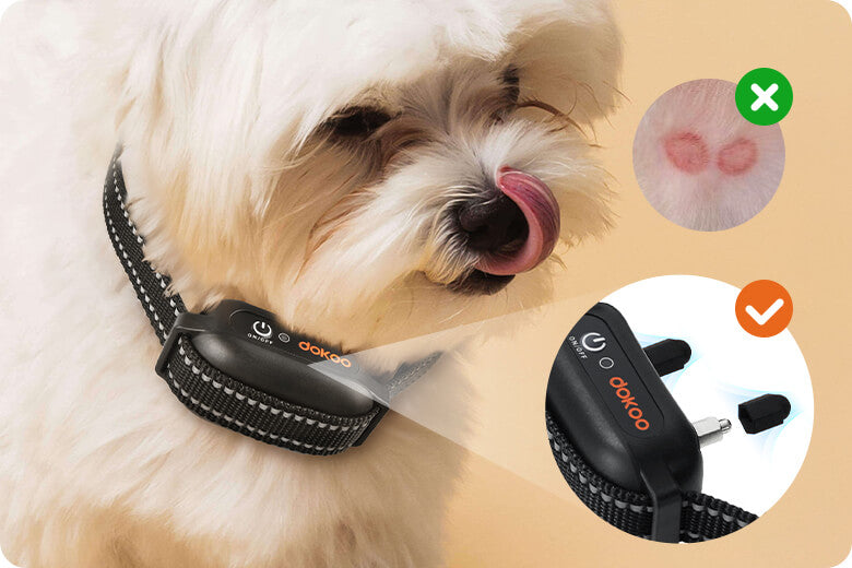 dokoo dog collar with silicone protective sleeves for safe