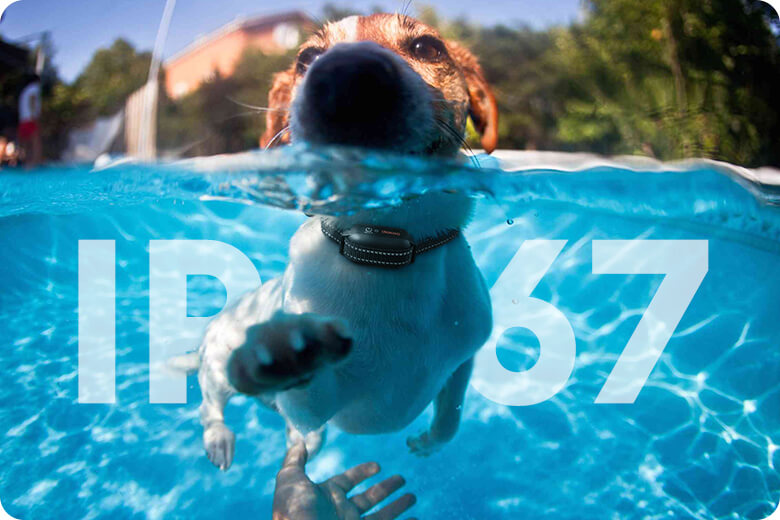 dokoo dog collar with waterproof level IP67