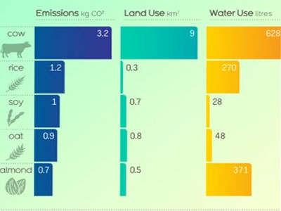 The Sustainability of Oat Milk<br>December 9, 2020
