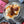 Load image into Gallery viewer, Coop's Salted Caramel Sauce