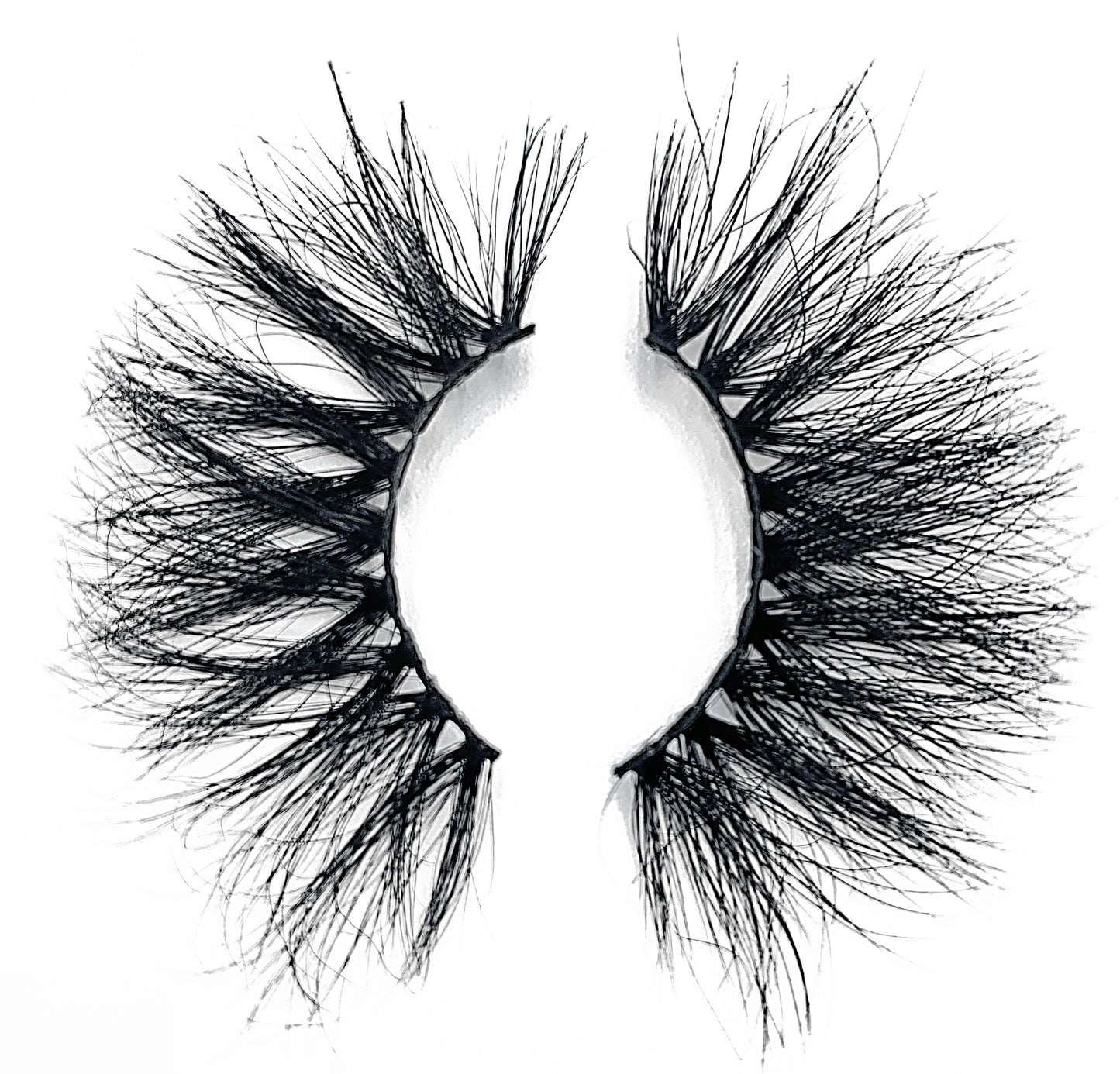MM38 Lash