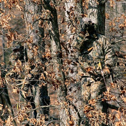 camouflage chasse