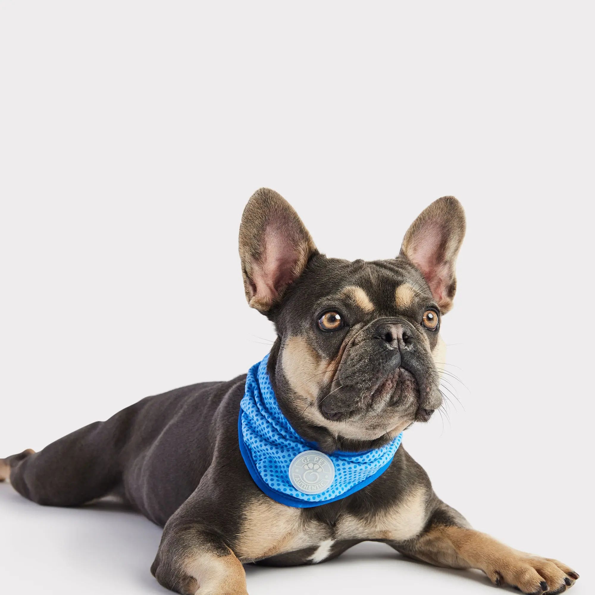 how to make a cooling bandana for dogs